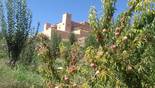 Kasbah Izoran | Ksar Tabenattout